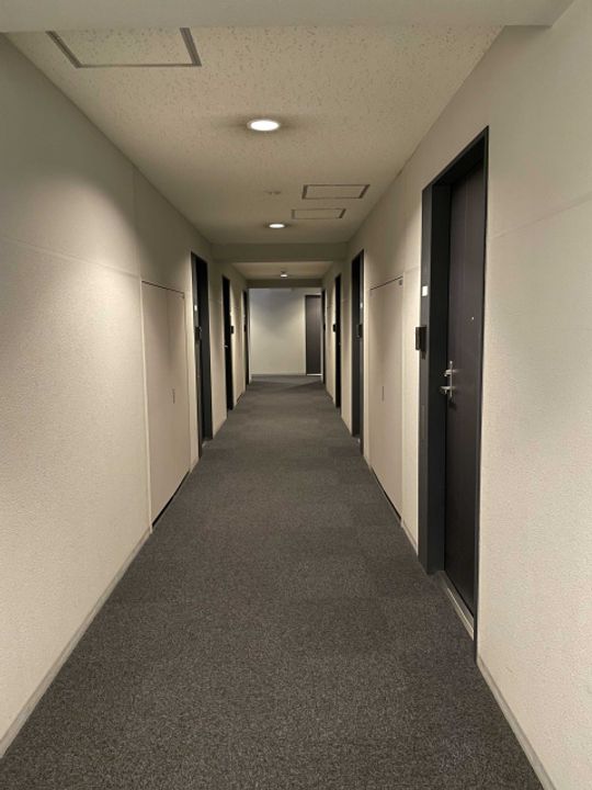 インペリアル南麻布サテライト531号室の内装