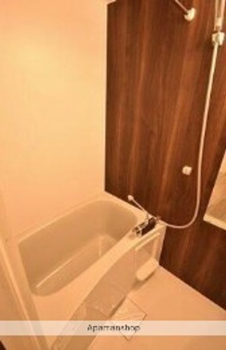 東京都板橋区坂下3丁目の賃貸マンションの風呂