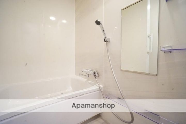東京都墨田区千歳3丁目の賃貸マンションの風呂
