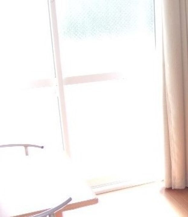 レオパレスアイリスのその他画像