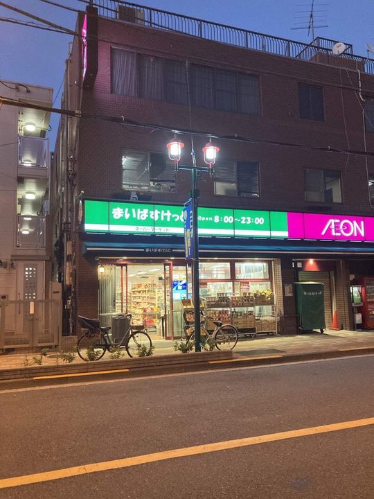 レオネクストSRKの周辺