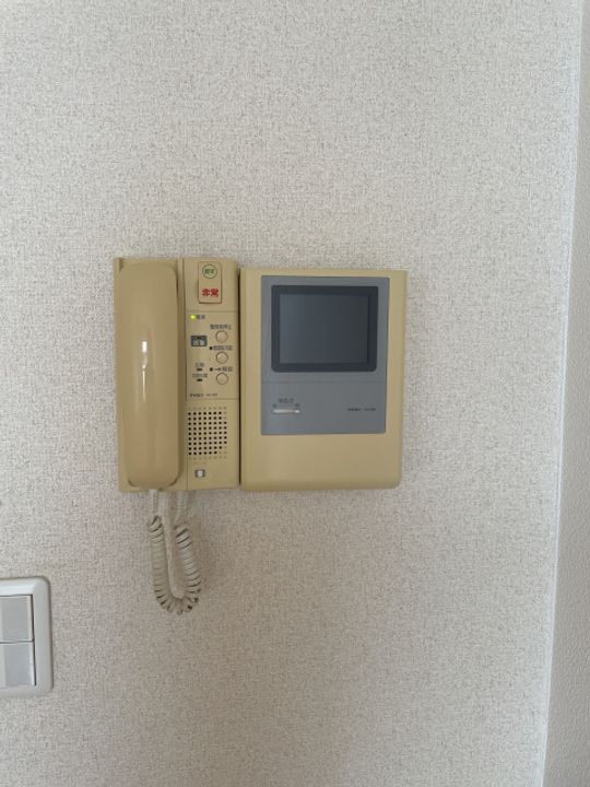 スカイコート東京ベイ・東雲407号室の内装