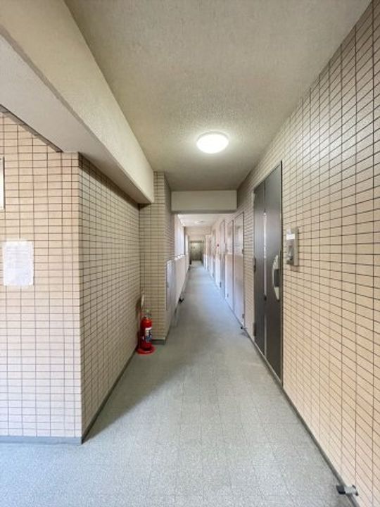 スカイコート東京ベイ・東雲407号室の内装