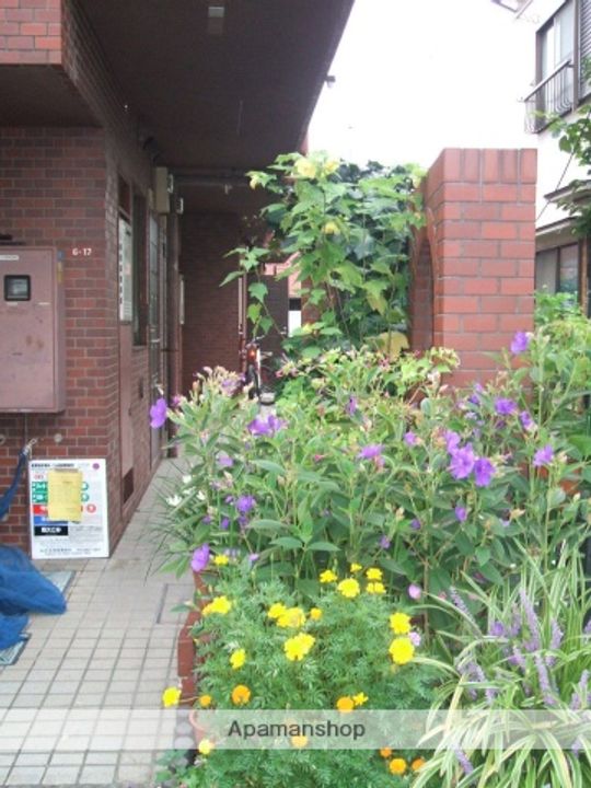 シャトー阿佐ヶ谷の外観