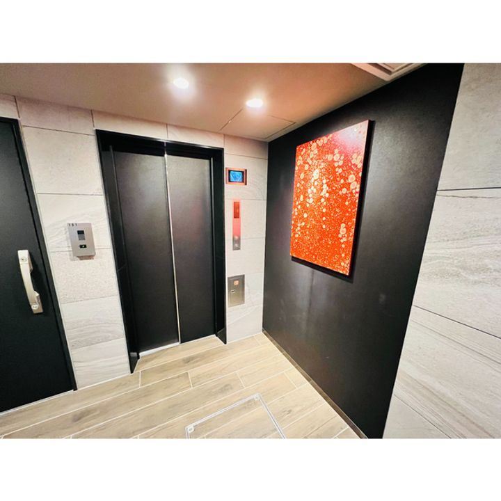 CAMELLIAのその他画像