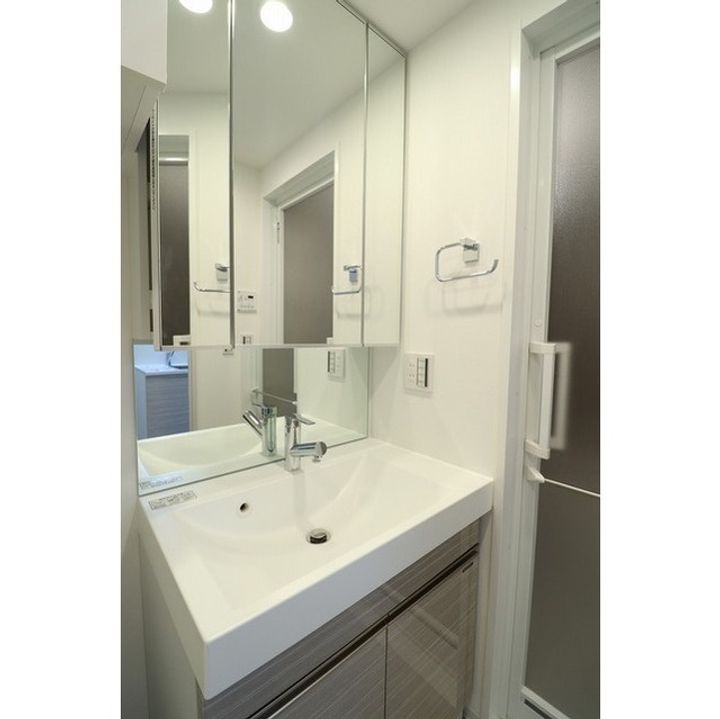 CAMELLIAのその他画像