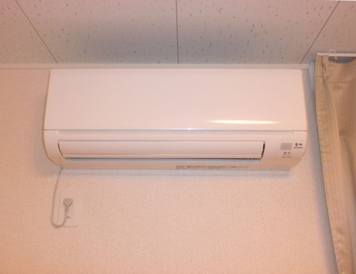 レオネクストワイケージーのその他画像