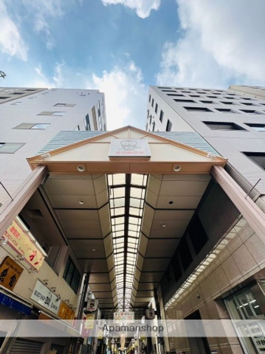 東京都台東区元浅草1丁目の賃貸マンションの周辺