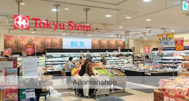 東京都品川区小山4丁目の賃貸マンションの周辺