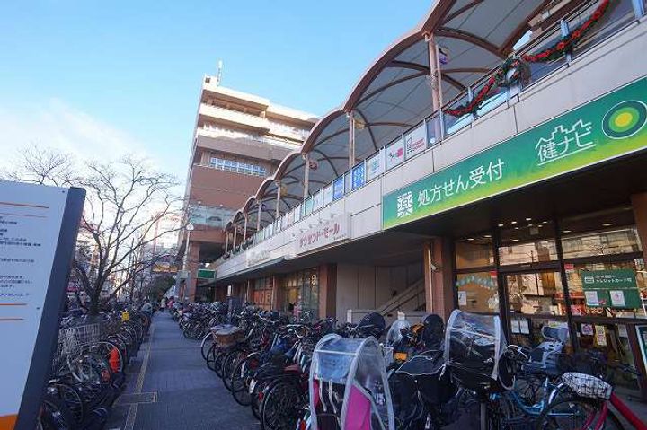 D PAINA OGURAの周辺