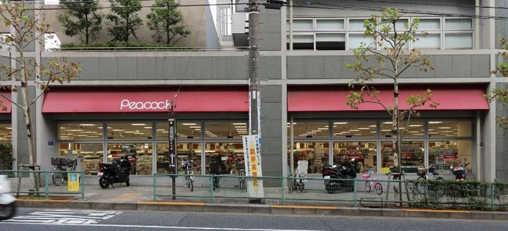 イプセ白金の周辺