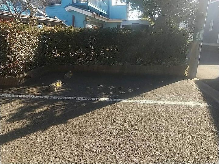 レオパレスハーモニー204のその他画像