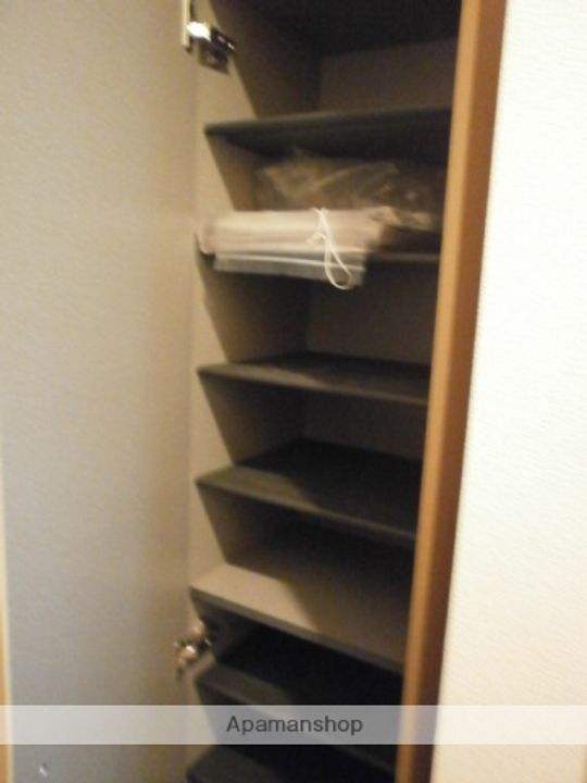 コスモス202の玄関