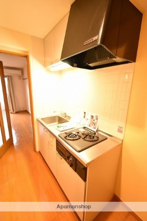 東京都調布市飛田給1丁目の賃貸マンション112のキッチン