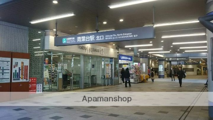 ラピスもえぎ野の周辺