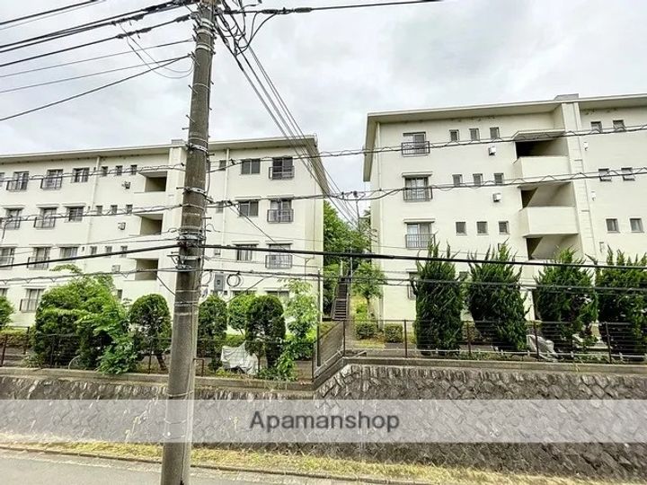 オリーブM103のその他画像