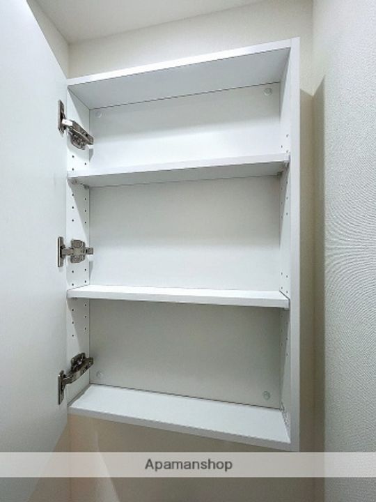 ブライズ鷺沼の内装