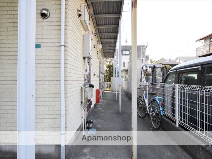 ミネルバのその他画像