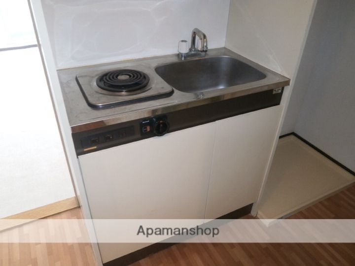 神奈川県座間市相模が丘1丁目の賃貸マンションのキッチン