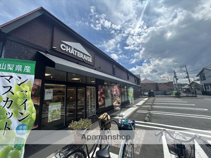 神奈川県相模原市南区若松5丁目(一戸建)の賃貸物件戸建ての周辺