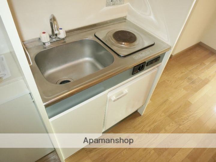 神奈川県相模原市中央区緑が丘2丁目の賃貸マンションのキッチン