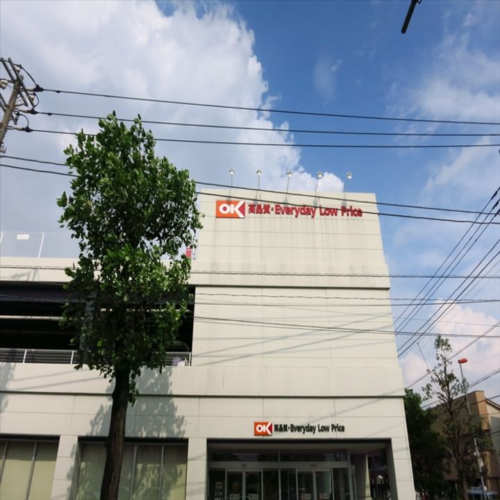 レオパレスアネシスの周辺