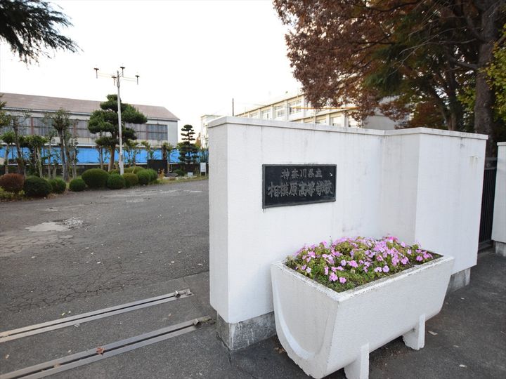 レオパレスアネシスの周辺