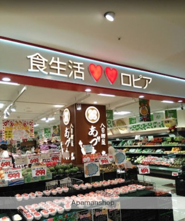 メゾンさがみ101の周辺