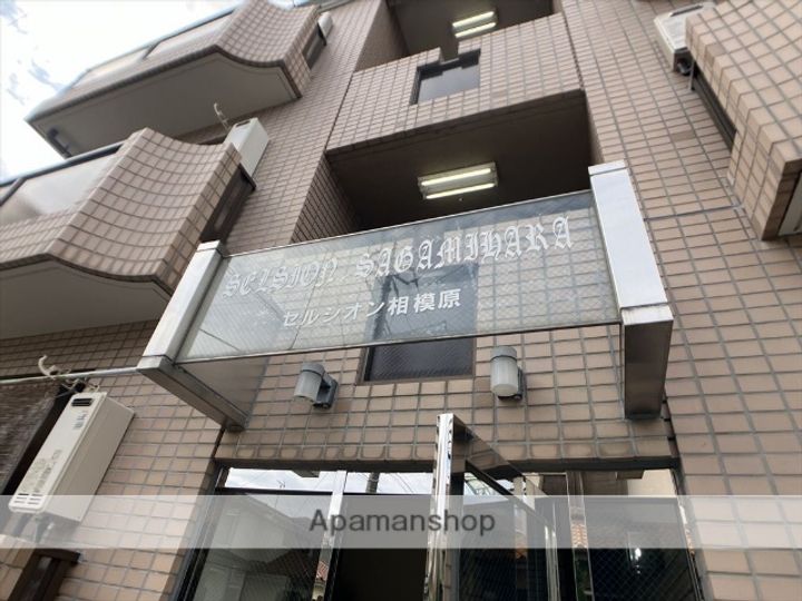 神奈川県相模原市中央区氷川町の賃貸マンションのその他画像