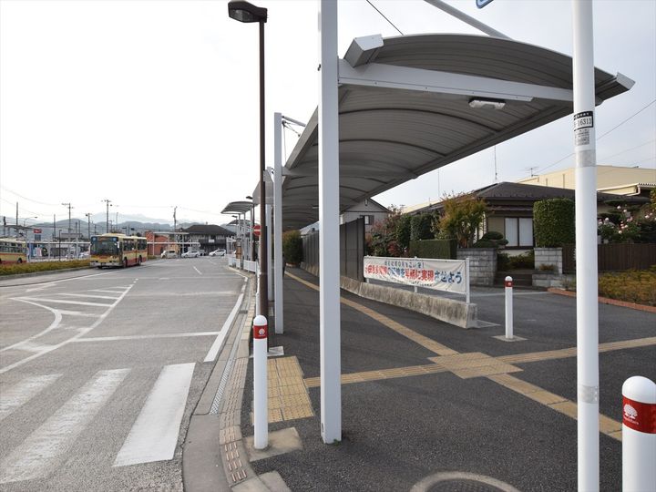 カメリヤウッドの周辺