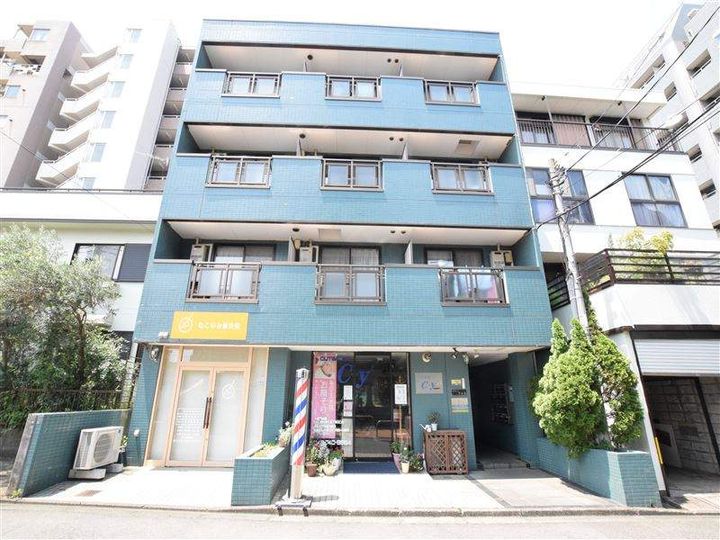 神奈川県相模原市南区相模大野8丁目の賃貸マンションの外観