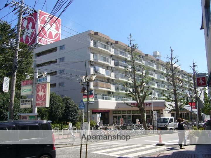 神奈川県相模原市南区東林間5丁目の賃貸マンションの周辺