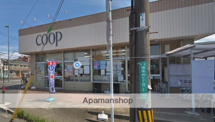 神奈川県相模原市南区下溝(一戸建)の賃貸物件の周辺