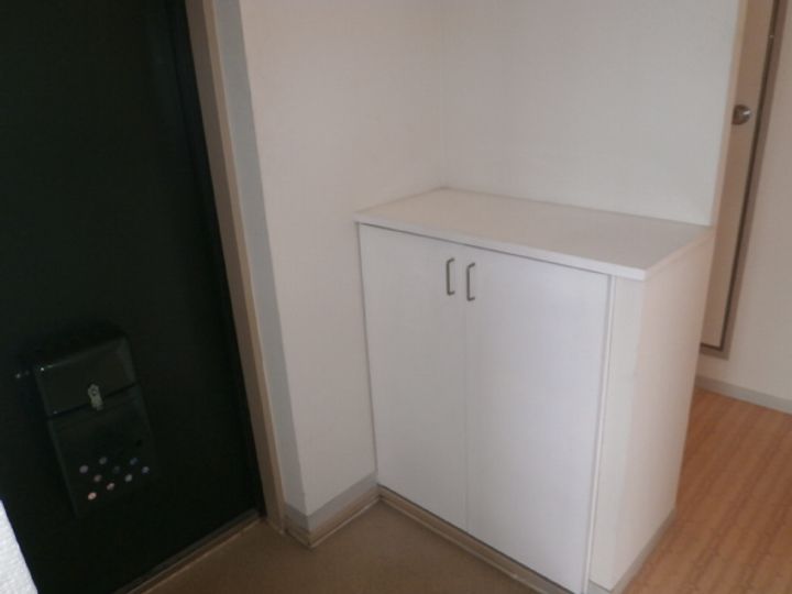 フジスカイマンションの玄関