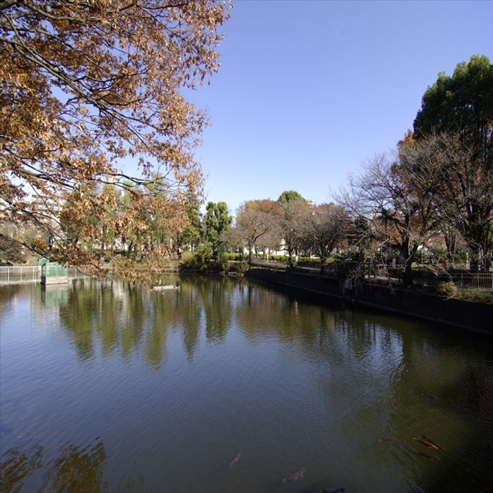 神奈川県相模原市中央区弥栄1丁目の賃貸アパートの周辺