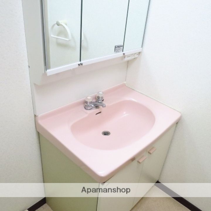 神奈川県相模原市南区相模大野3丁目の賃貸マンションのその他画像