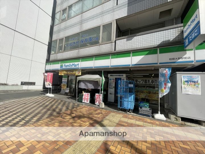 神奈川県相模原市南区相模大野3丁目の賃貸マンションの周辺