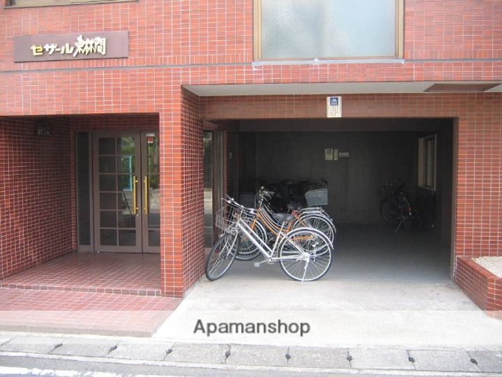 セザール東林間203のその他画像