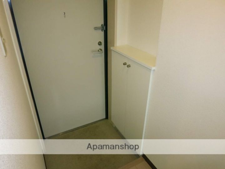 神奈川県相模原市南区相模大野7丁目の賃貸マンションの玄関