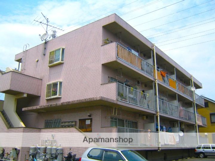 神奈川県相模原市南区下溝の賃貸マンションの外観