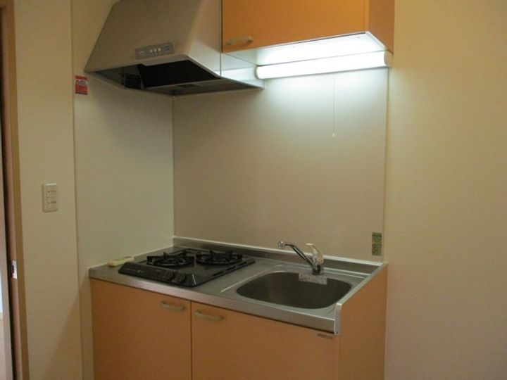 神奈川県座間市相模が丘1丁目の賃貸アパートのキッチン