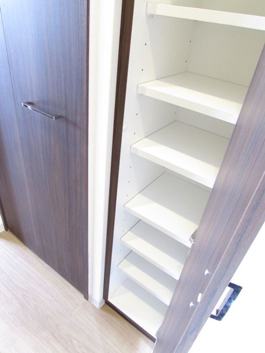 神奈川県川崎市中原区新城3丁目の賃貸マンションの玄関