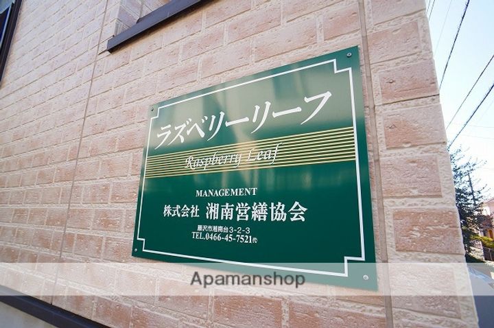 ラズベリーリーフの外観