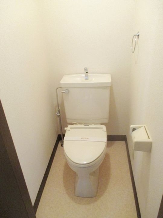 ゼフィルス花の木のその他画像