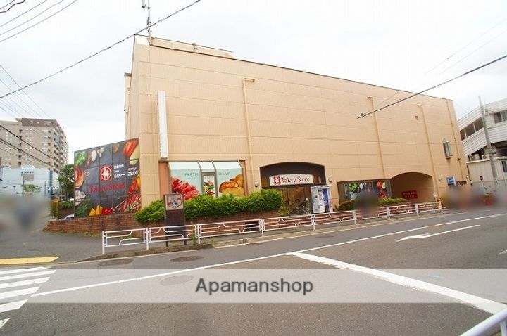 セレーノたまプラーザの周辺