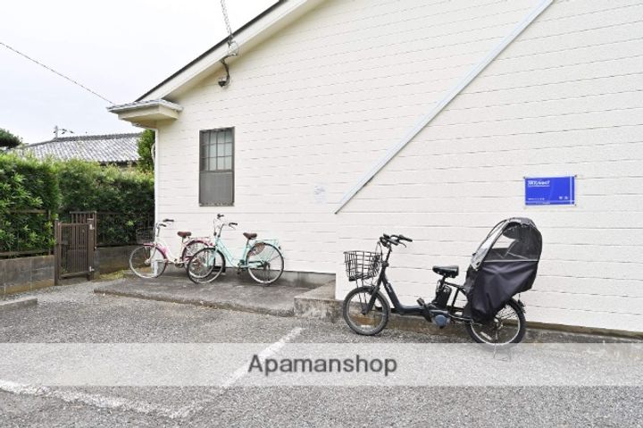 サンフラワーSのその他画像