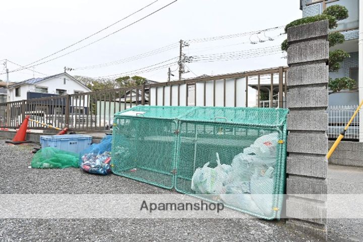 サンフラワーSのその他画像