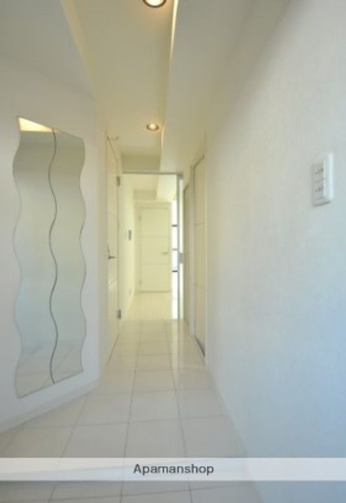 神奈川県横浜市港北区綱島西5丁目の賃貸マンションの玄関