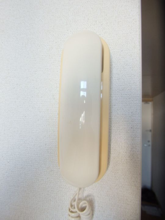 レオパレスソーラーヒルズの内装