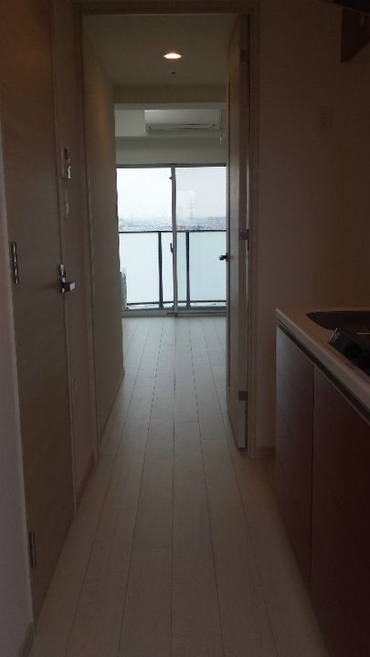 神奈川県川崎市幸区南幸町1丁目の賃貸マンションの玄関